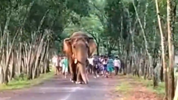 সাত সকালে রামলালের রুটমার্চ | আতঙ্ক এলাকায়