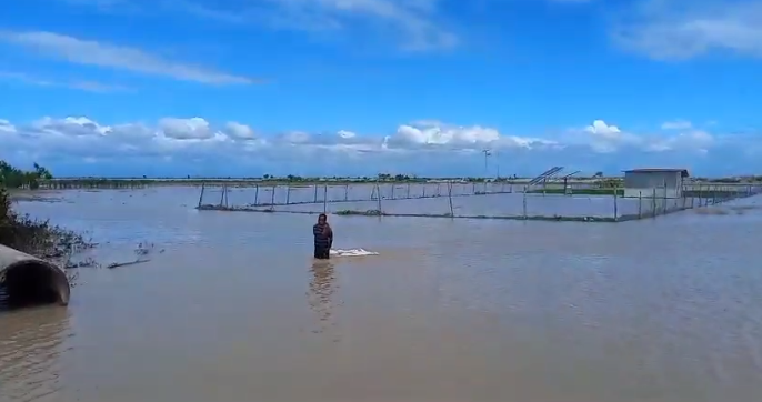 বিপর্যয়ে
