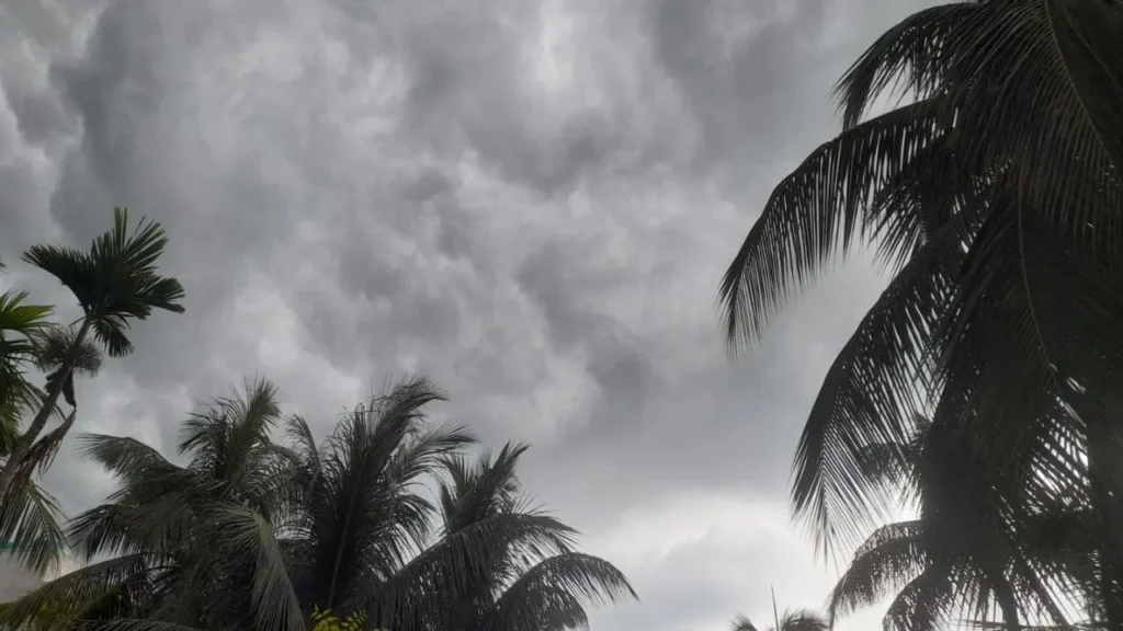 today weather report
