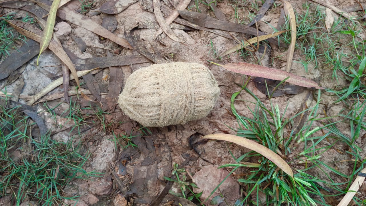 গ্রামের