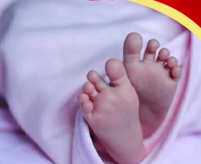 ক্যানিং