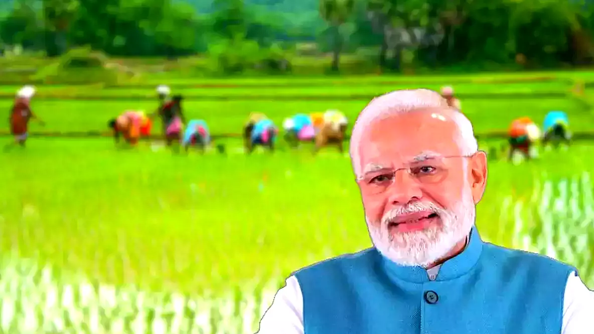 Sugarcane Price Hiked by Modi