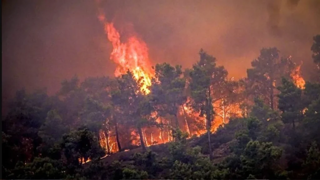 A terrible fire in Chile
