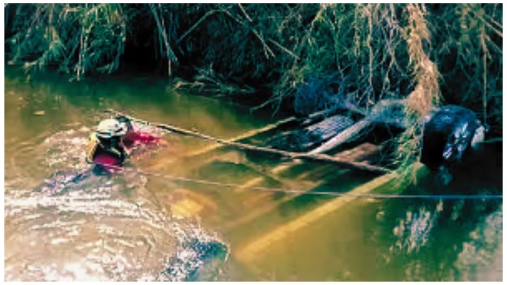 the-fish-returned-to-the-river-while-the-driver-slept