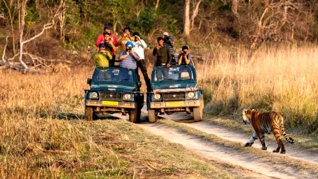 Supreme Court orders closure of Jim Corbett Tiger Safari