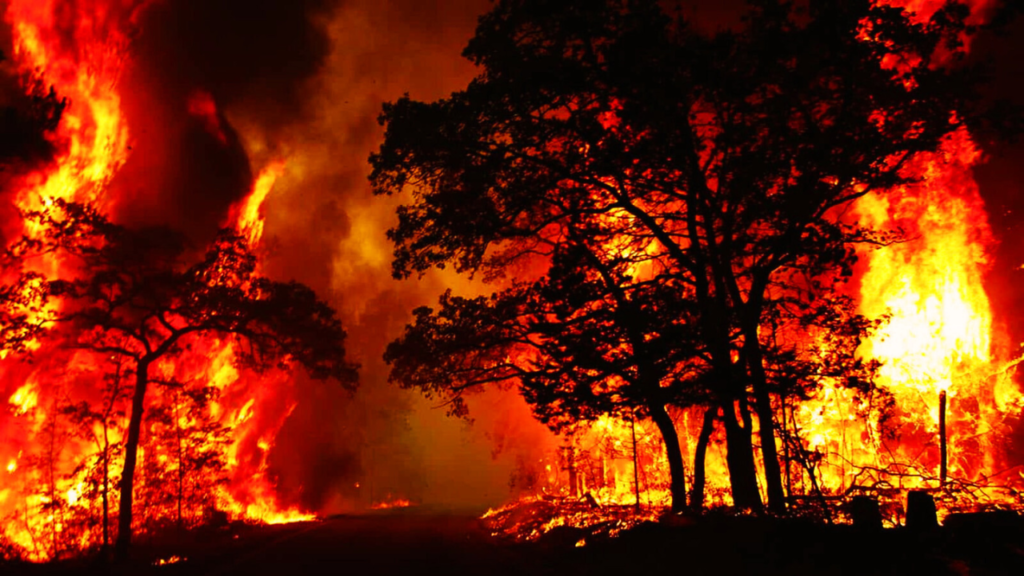 Terrible fire in Uttarakhand