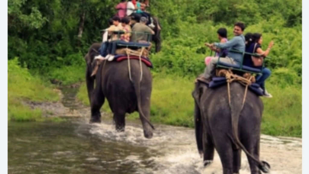 ghure ashi: dooars