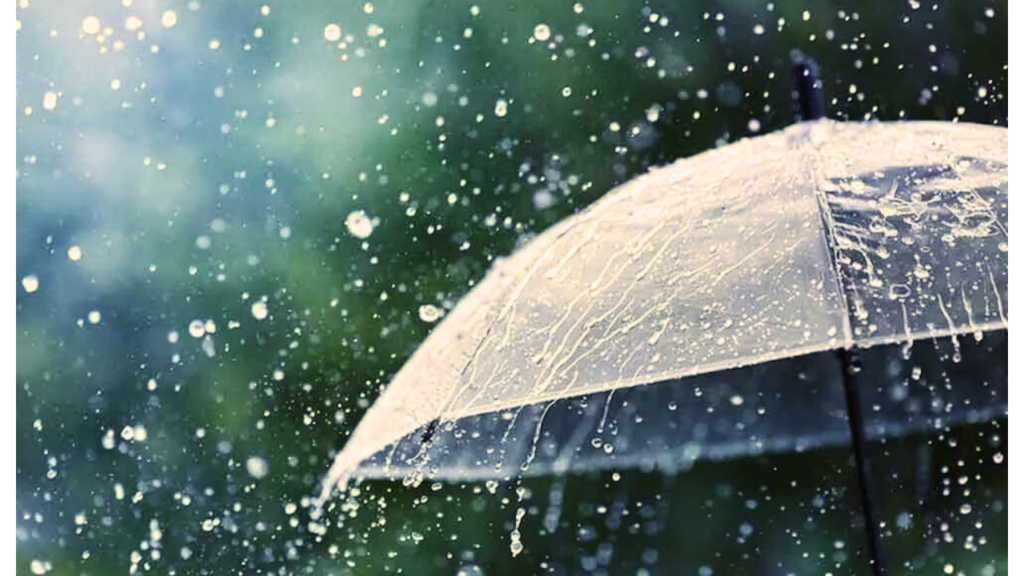 weather-report rain forecast