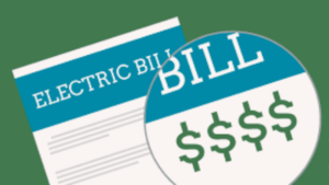 goverment on electric bill