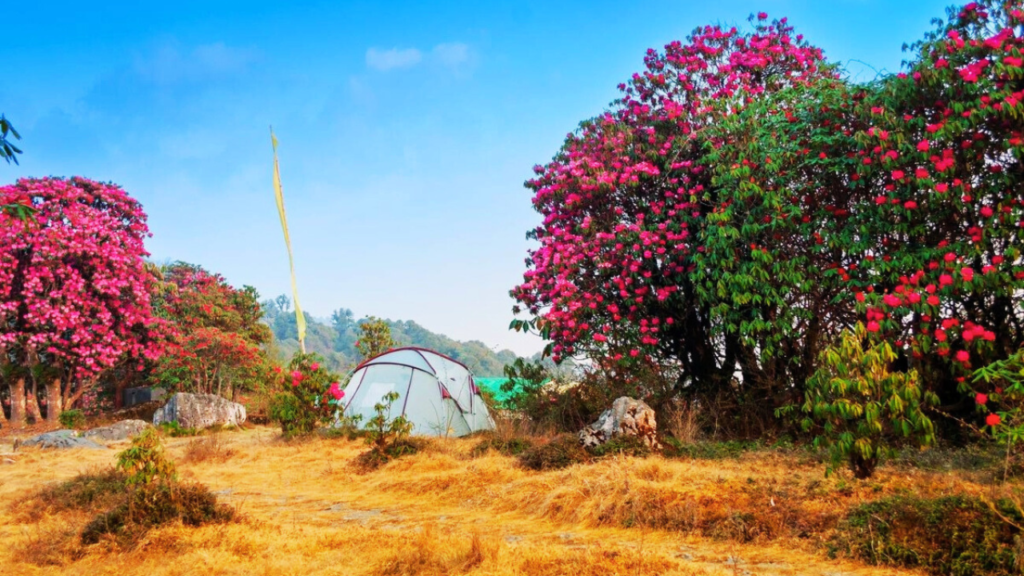 varsey sikkim