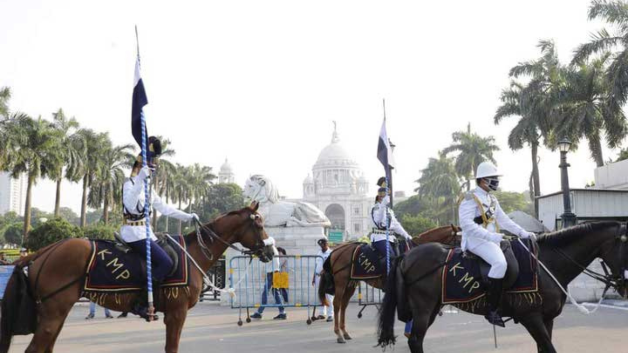 ভিক্টোরিয়া চত্বরে ৮ ঘোড়ার মৃত্যু image