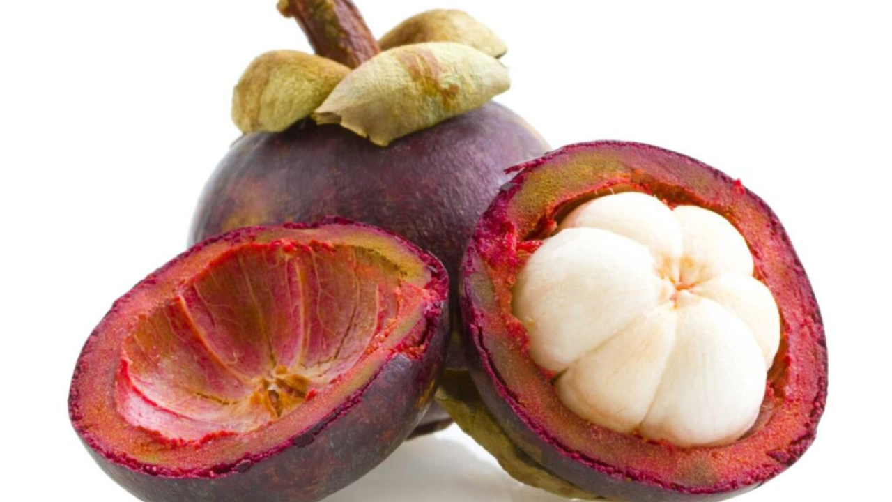 Mangosteen photo