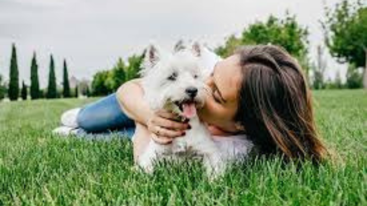 pet-allergy-symptoms-tips