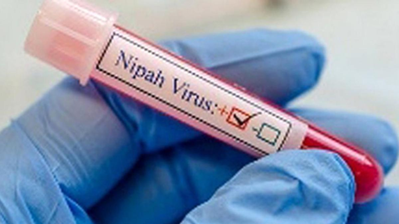 nipah-virus-man-dies