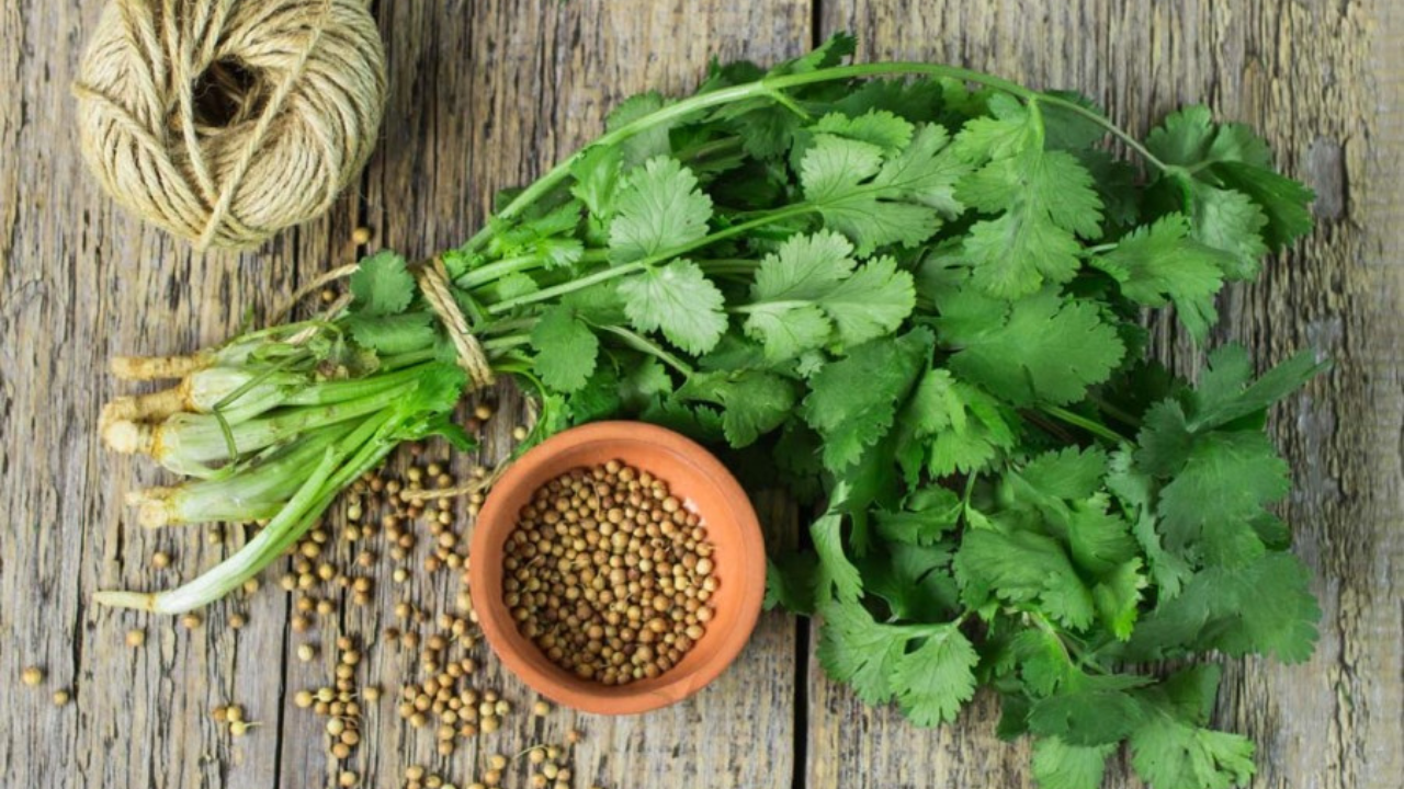 health-benefits-coriander-leaves