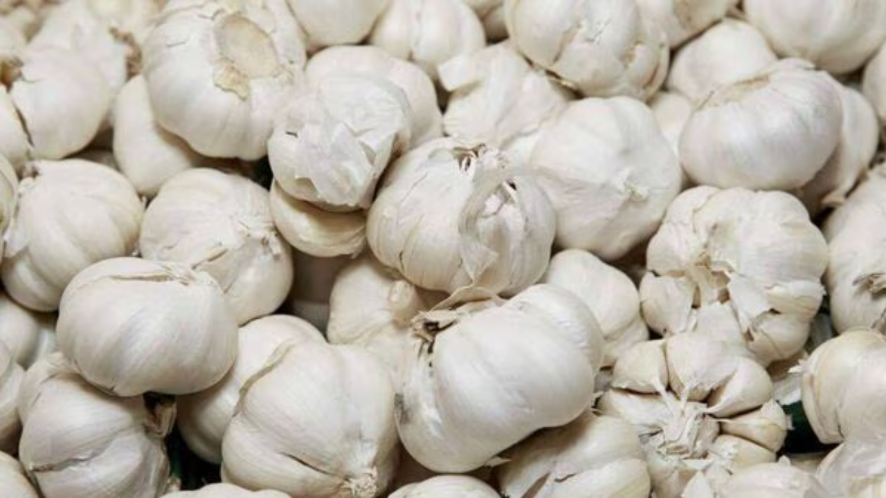 chinese-garlic-smuggling-india