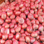 onion-price-hike-west-bengal-jyotirmoy-mahato-complaint