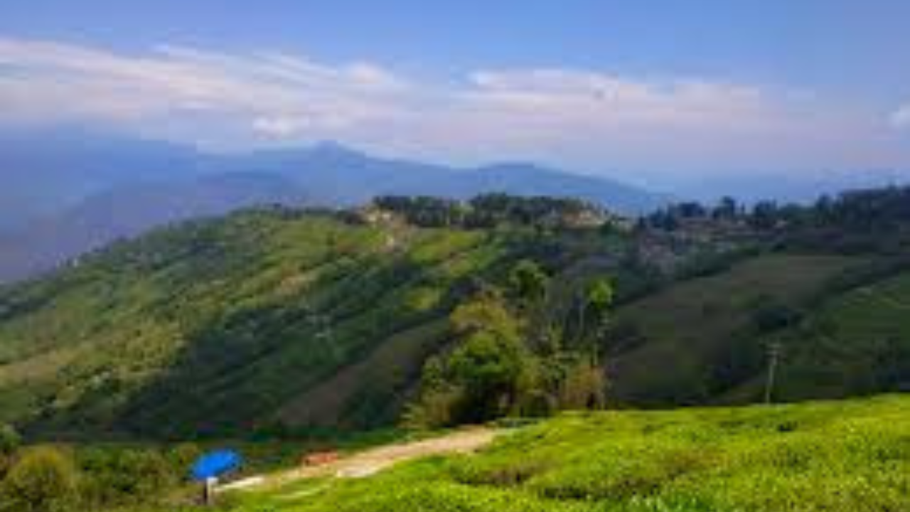 durgapuja-tourism-north-bengal-rain-impacts