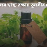 tulsi-oil-hair-care