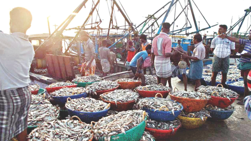 7 biggest fish market of India