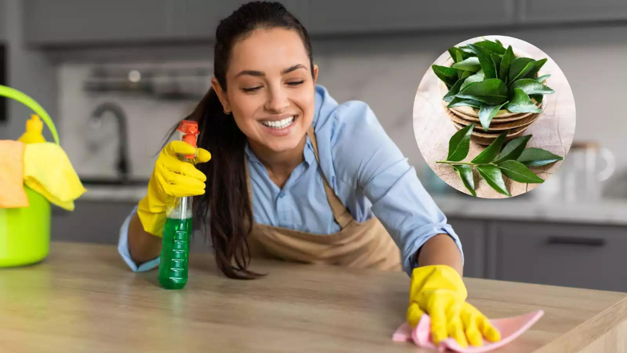 curry-leaves-kitchen-cleaning-hacks