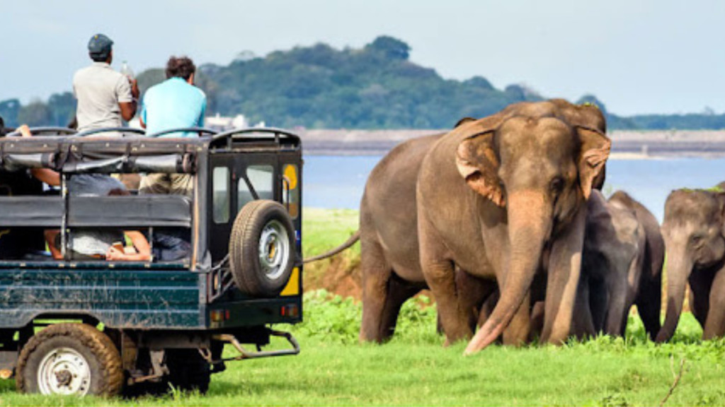gorumara-durga-puja-specials