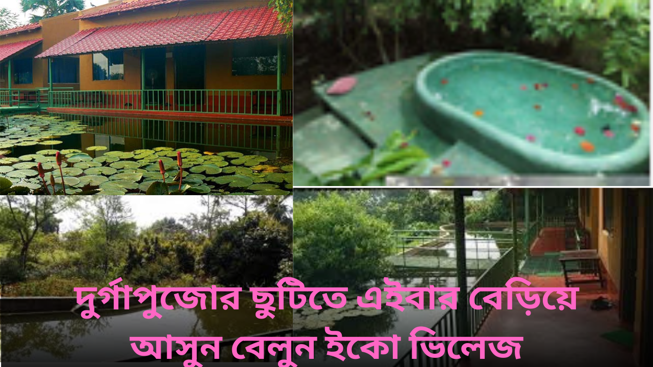 দুর্গাপুজোর ছুটিতে এইবার বেড়িয়ে আসুন বেলুন ইকো ভিলেজ