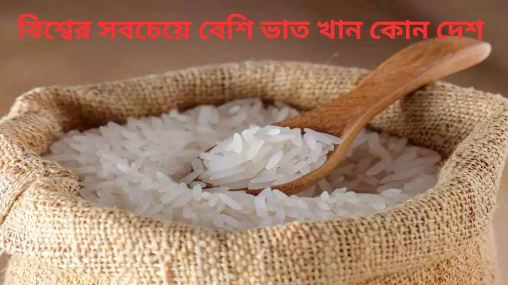 country-highest-rice-consumption