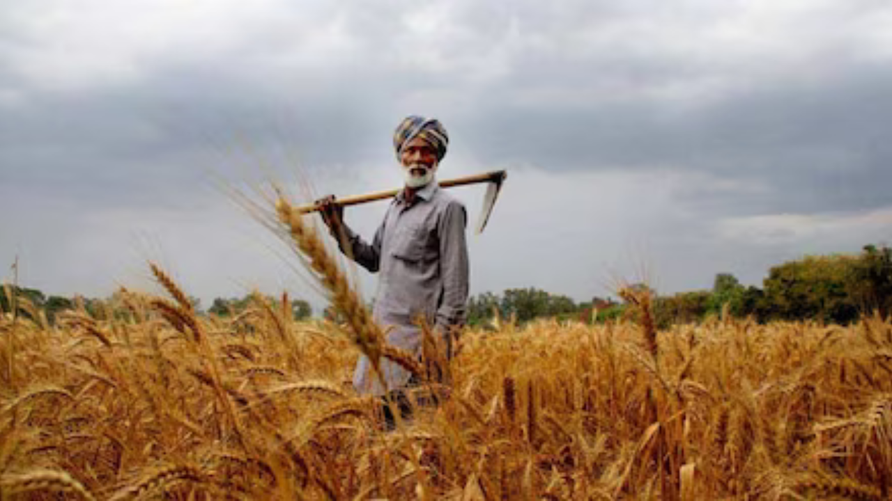 farmers-msp-increase-six-crops-india