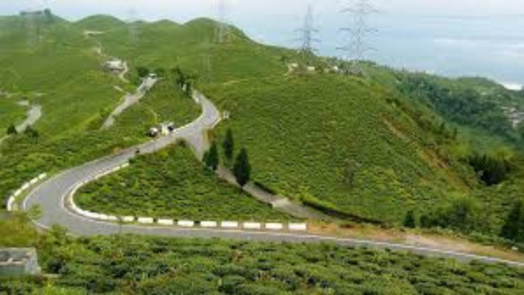 durgapuja-darjeeling-tingling-viewpoint