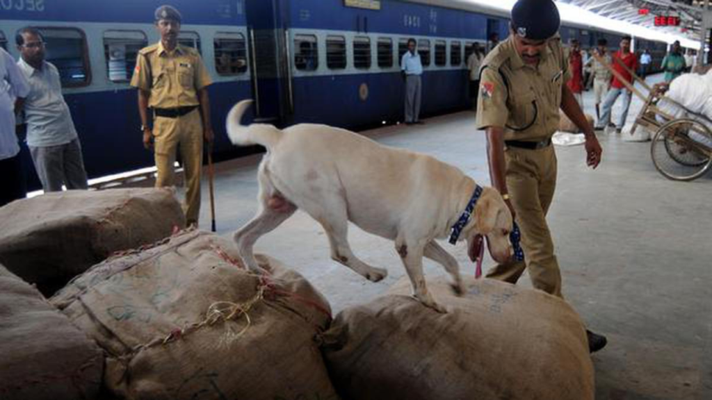 bomb-threat-rajasthan-railway-stations
