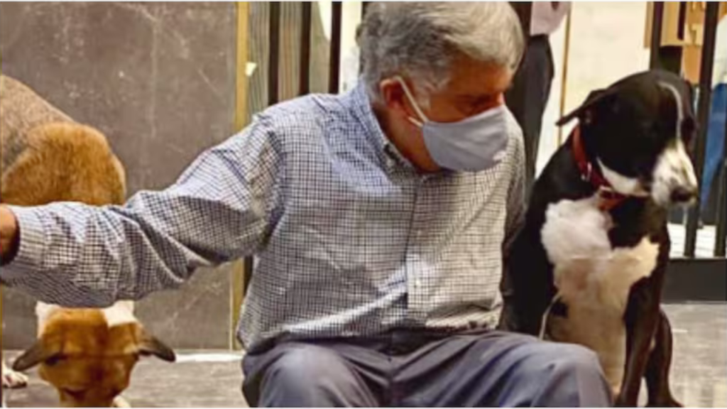 ratan-tata-animal-love
