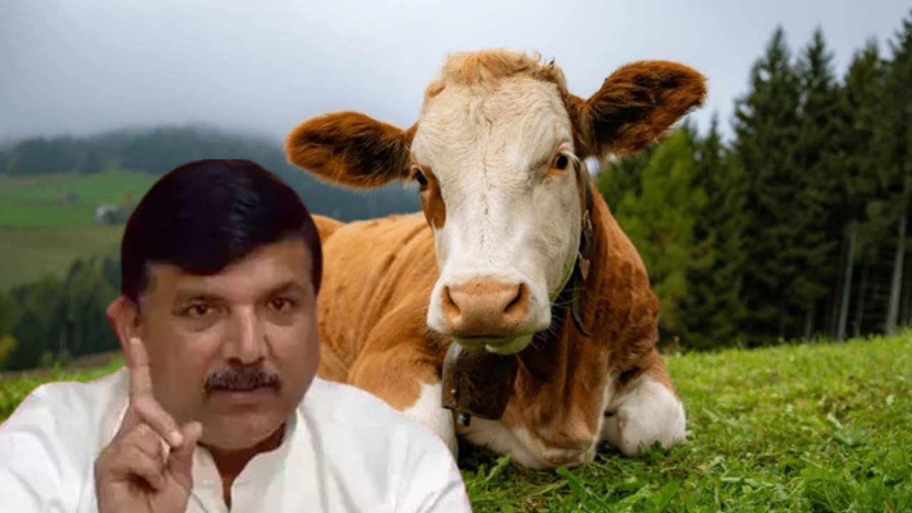 bjp-minister-cow-health-comments