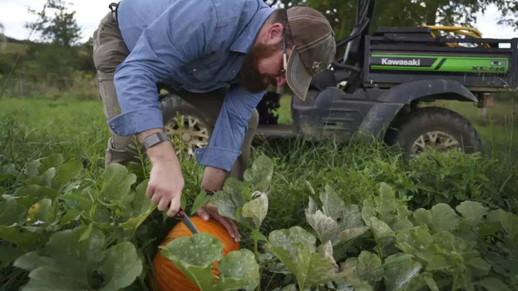 pumpkin-seller-wins-lottery