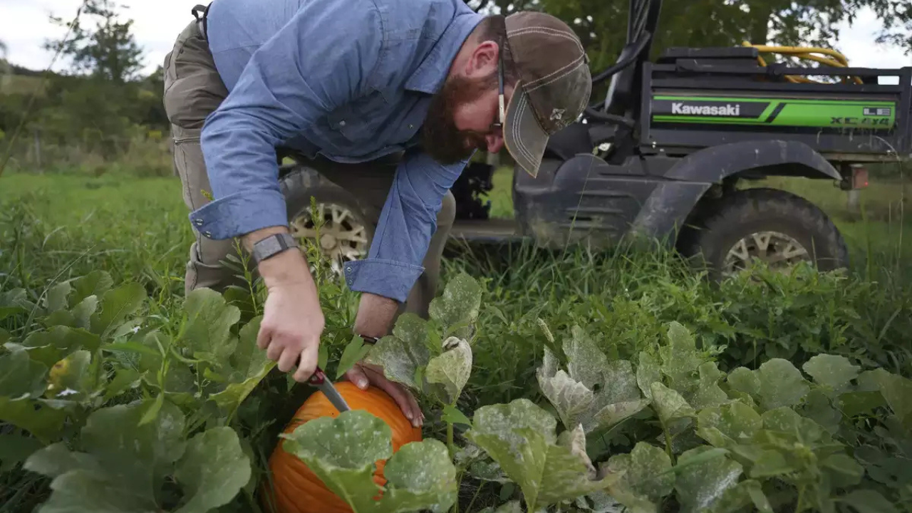 pumpkin-seller-wins-lottery