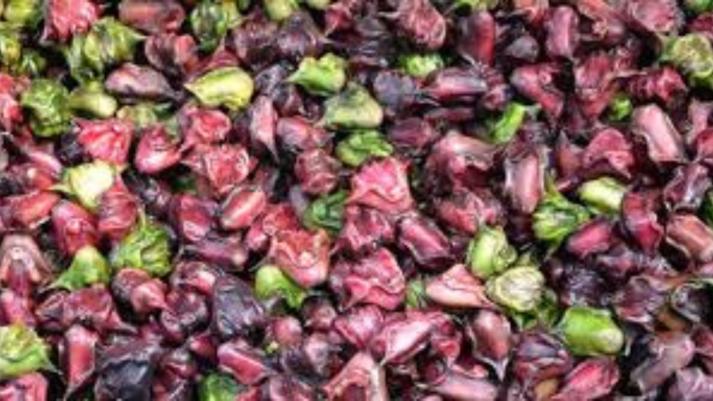 benefits-of-panicfruit-for-health