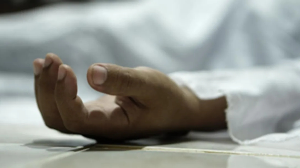 বিদ্যুৎস্পৃষ্ট