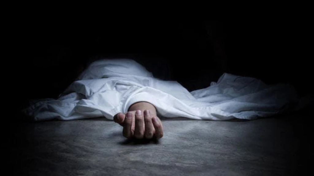 বিদ্যুৎস্পৃষ্ট