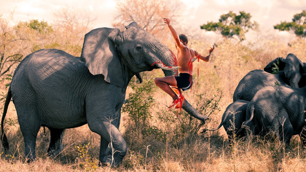 elephant-attack-mataly-child-death