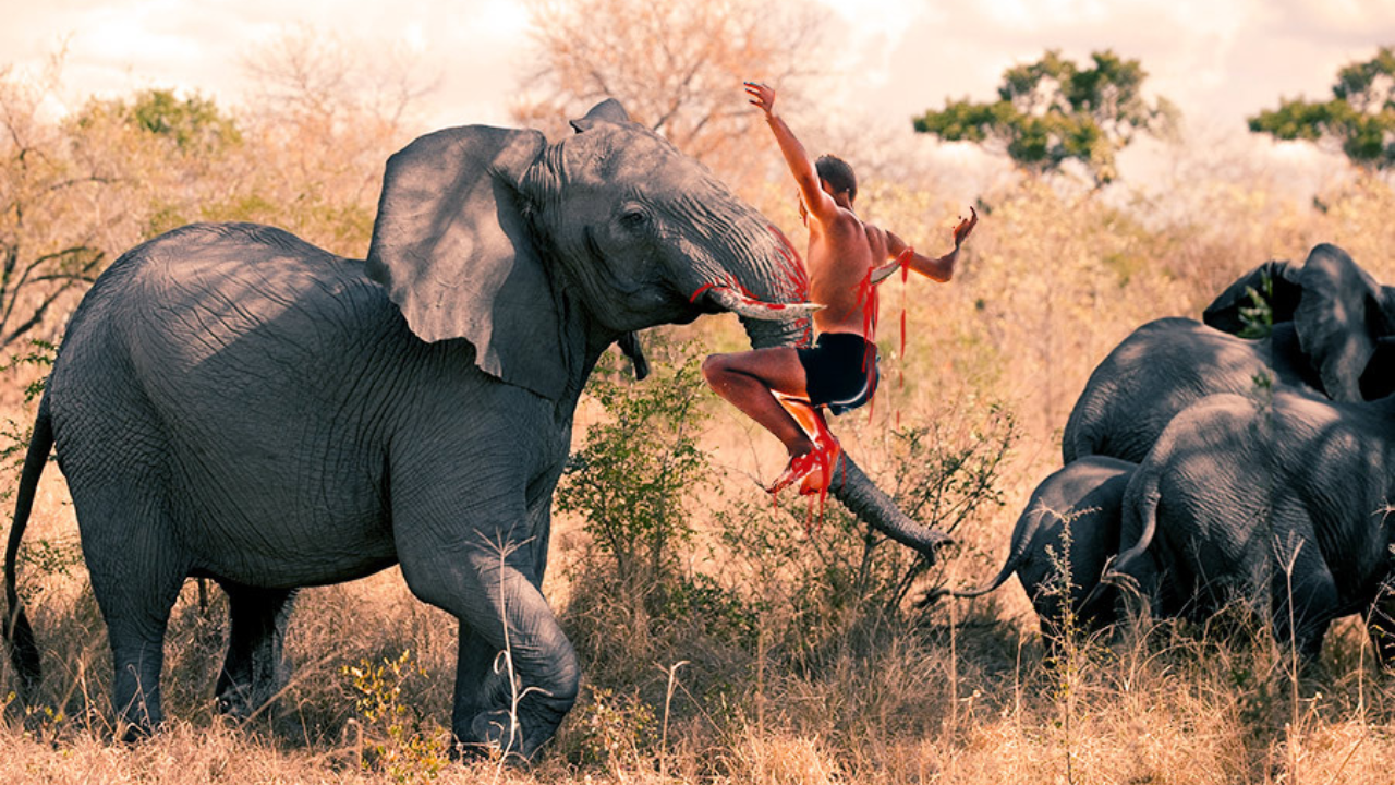 elephant-attack-mataly-child-death