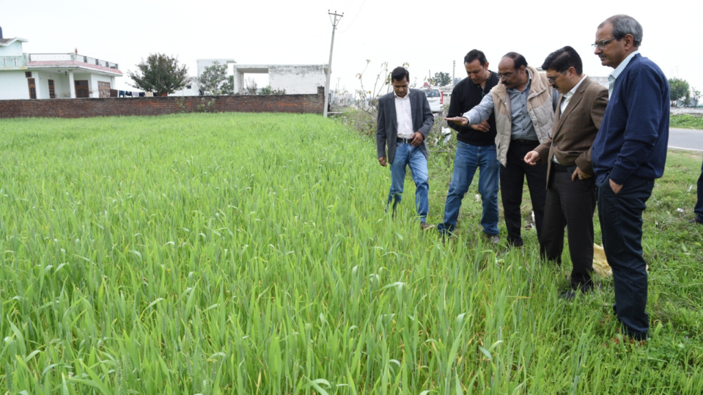 jammu-rs-pura-agriculture-politics