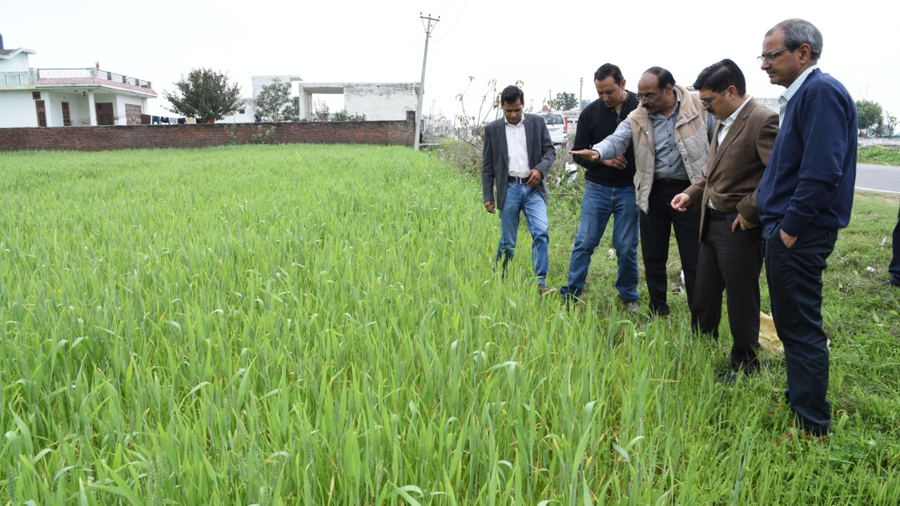 jammu-rs-pura-agriculture-politics