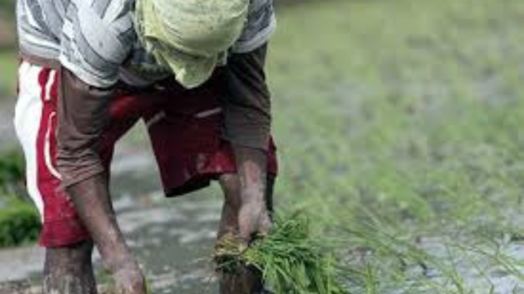 farmers-abducted-bgb