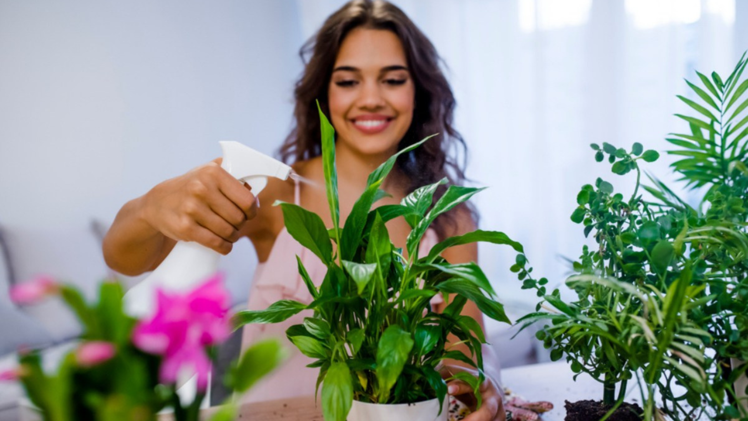 গাছগুলি