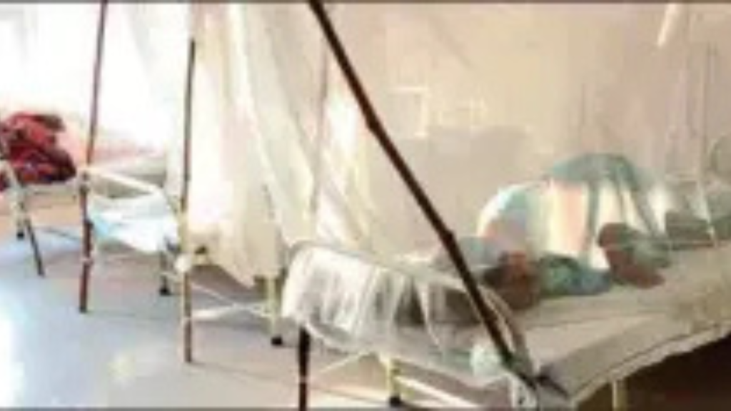 চিকুনগুনিয়ার