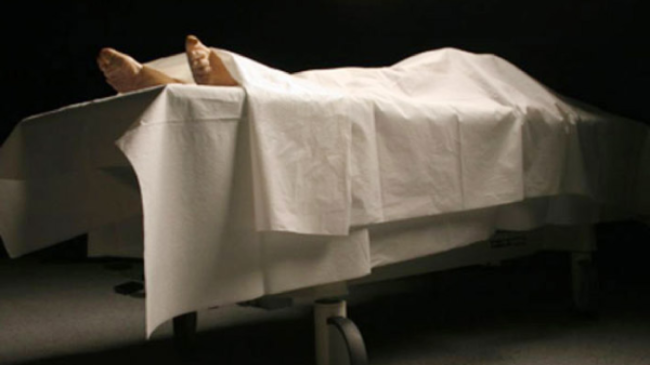 বিদ্যুৎস্পৃষ্ট