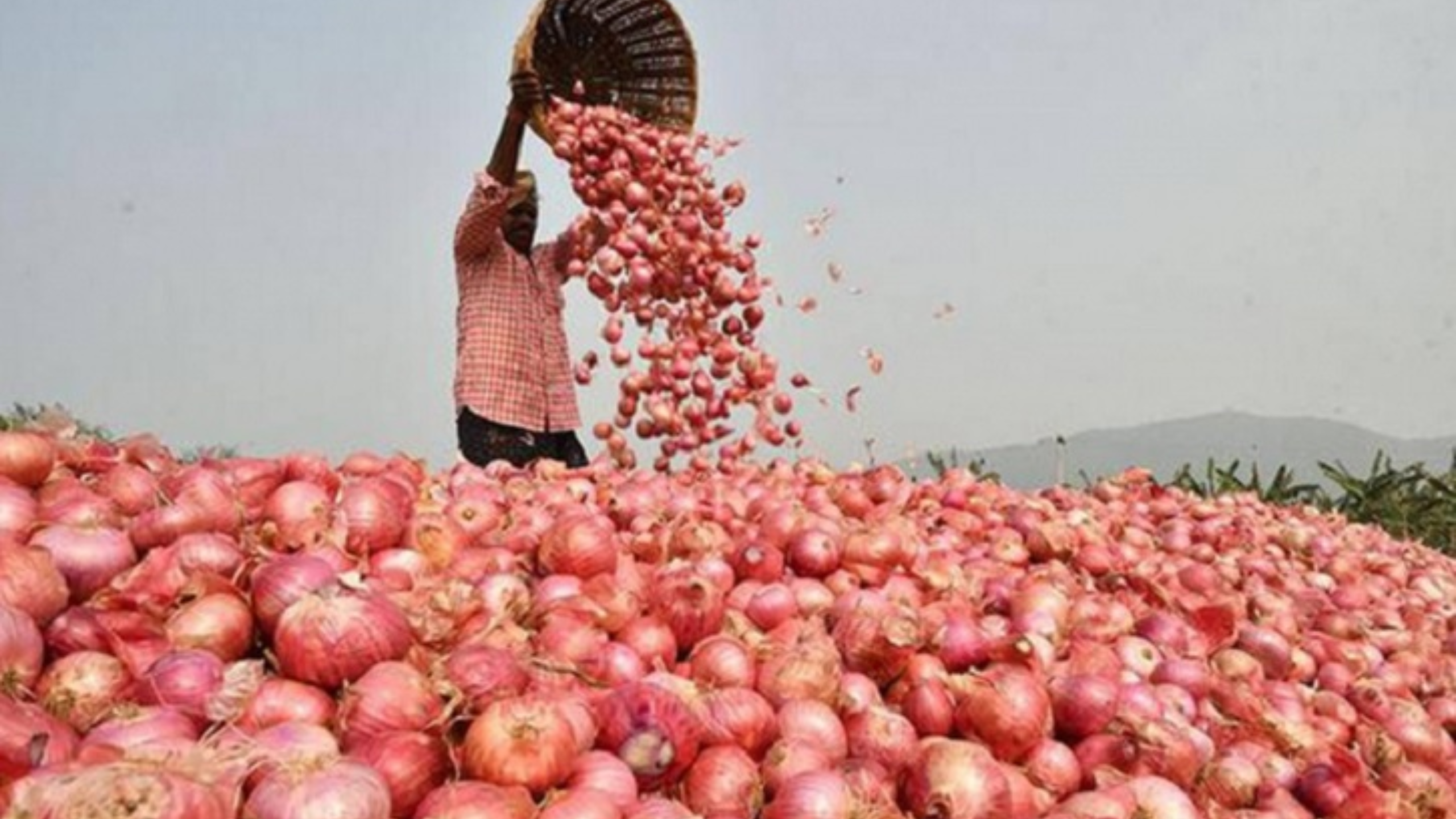 পেঁয়াজের আকাশছোঁয়া দাম