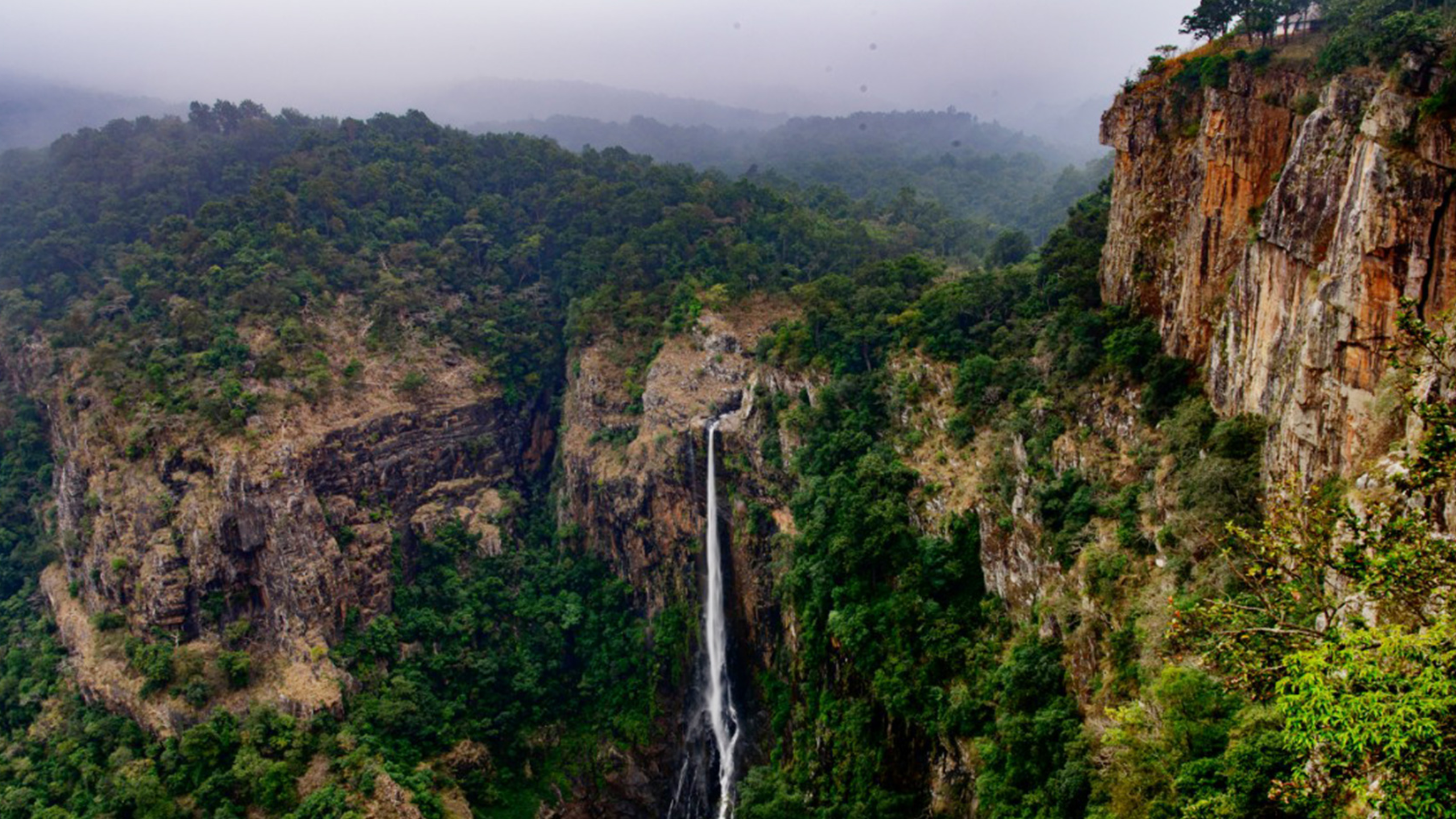 ওড়িশার সিমলিপাল