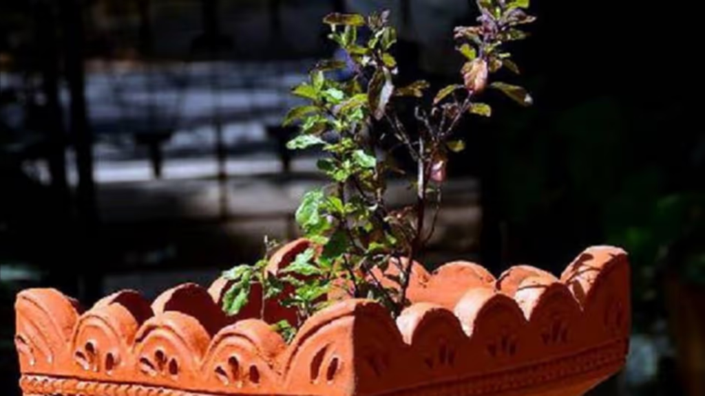 তুলসির বিবাহ