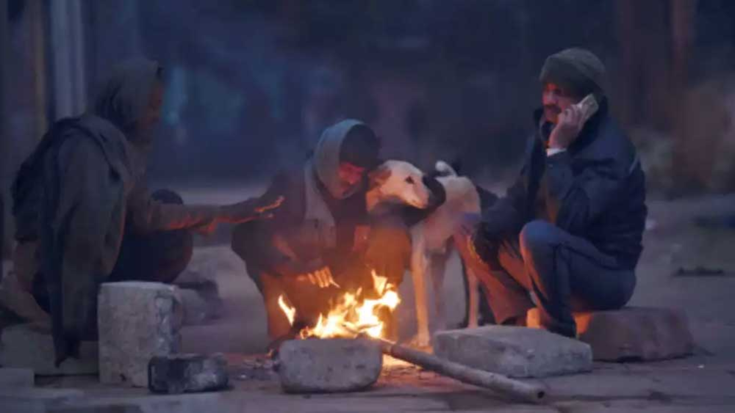 জাঁকিয়ে শীতের